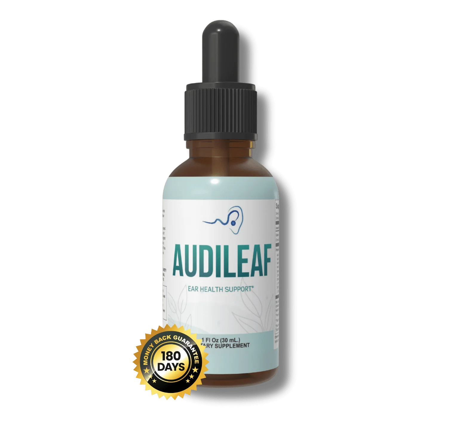 AudiLeaf Buy
